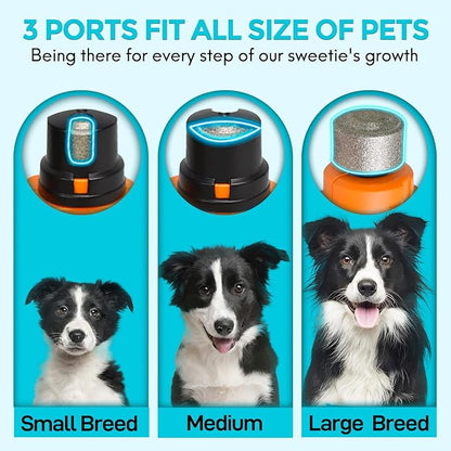 2-in-1 Dog Nail Clippers & Grinder, 2 LED Lights and Safety Guard Dog Nail Grinder, Quiet Sharpest Advanced Dog Nail Trimmers for Large Medium Small Size Dogs & Cats & Pets with Thick Nails