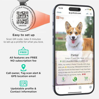 Dog Tags Personalized QR Code Dog Tag, Retro Brass Personalized Pet ID Tags Modifiable Pet Online Profile, Multiple Emergency Contact, (Pet Paw)