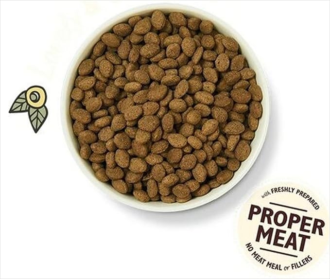 Lily's Kitchen Dog Food Grain Free Lamb 1Kg