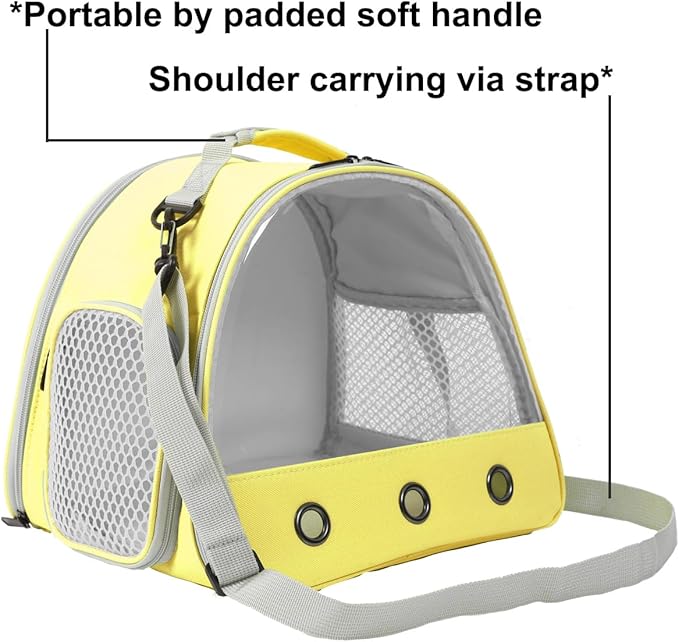 Bearded DragonTravel Cage,Lizards Carrier, Small Animal Travel Carrier for Hedgehog Rat Parrot Bird Guinea Pig, Portable Guinea Pig Travel Bag for 2