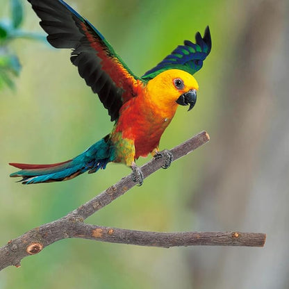 Bird Perch Stand, Pole Standing Natural Wood Bird Perch Set 7PCS Paw Grinding Fork Parrot Cage Branch with Rope Cage Accessories Toys for Parakeets, Cockatiels, Conure, Budgies (Brown 1)