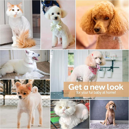 Dogs Hair Clippers Grooming Kit with Nail Grinder, 4 in 1 Cordless Electric Trimmer Low Noise USB Pet Clippers for Dogs Cat,Grooming Paws, Eyes, Ears, Face,Matted Hair