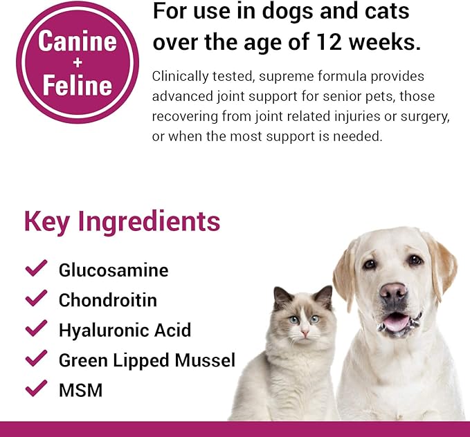 Vet Classics ArthriEase-Gold Hip & Joint Support for Dogs, Cats Pet Health Supplement Powder  Alleviates Aches, Discomfort  For Flexibility, Healthy Joint Function  Antioxidants  5 Oz