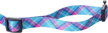 Mile High Life Dog Collar | Cute Puppy Collars | Lightweight Girl Dog Collar | Soft Boy Dog Collars | w Geometric Ocean Wavy Pattern (Green/Red, Small)