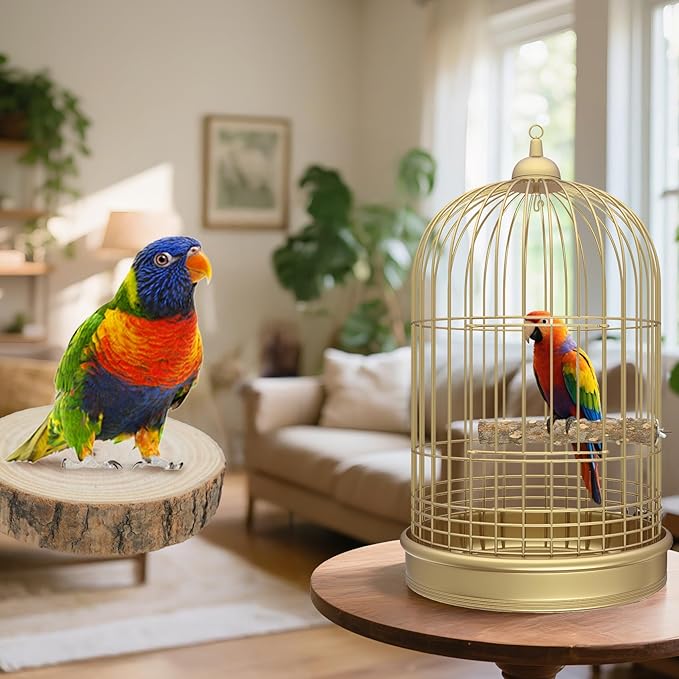 Bird Perch Stand, Pole Standing Natural Wood Bird Perch Set 7PCS Paw Grinding Fork Parrot Cage Branch with Rope Cage Accessories Toys for Parakeets, Cockatiels, Conure, Budgies (Brown 1)