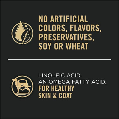 Purina Pro Plan Sensitive Skin and Stomach Dog Food Wet Classic Pate Lamb and Oat Meal Entrée - (Pack of 12) 13 oz. Cans