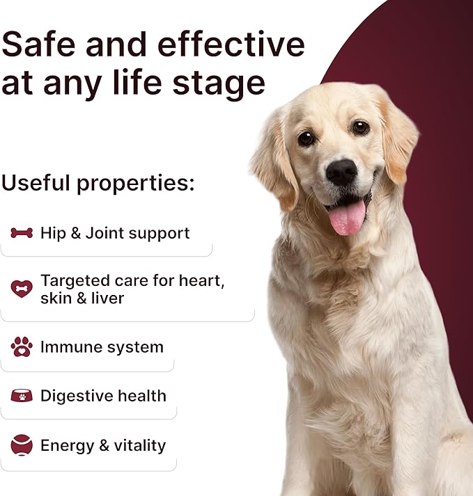 Hip & Joint Supplement for Dogs – Mobility Support with Glucosamine, Chondroitin, MSM, Turmeric, Mussel, Hemp Dog Joint Pain Relief – 120 Soft Chews for Large, Medium, Small Dogs Breeds– Beef Flavor