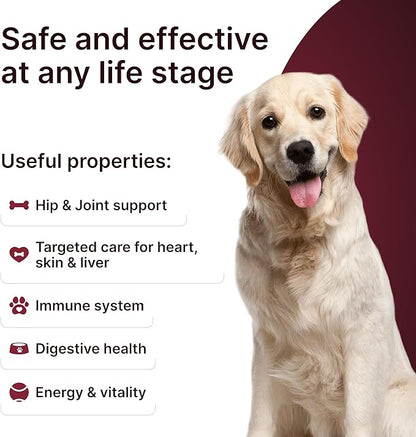 Hip & Joint Supplement for Dogs – Mobility Support with Glucosamine, Chondroitin, MSM, Turmeric, Mussel, Hemp Dog Joint Pain Relief – 120 Soft Chews for Large, Medium, Small Dogs Breeds– Beef Flavor