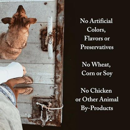 Wild Alaskan Salmon Grain-Free Dog Food | No Chicken or Other Animal by-Products | Rich in Omega 3 & 6 Fatty Acids | Sustainably Sourced Wild Caught Fish | Made in The USA | 24lb Bag