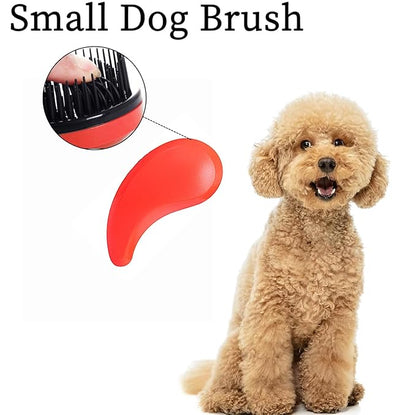 Small Dog Brush - Puppy Hair Brush- Grooming Tool for Teddy, Yorkies, Maltese, Shih Tzu, Chihuahua (Orange)