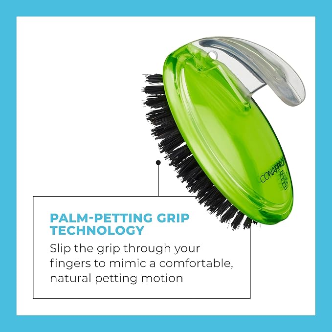 CONAIRPROPET Bristle Brush with Ergonomic Pet-It Design, Dog Brush for Removing Loose Hair