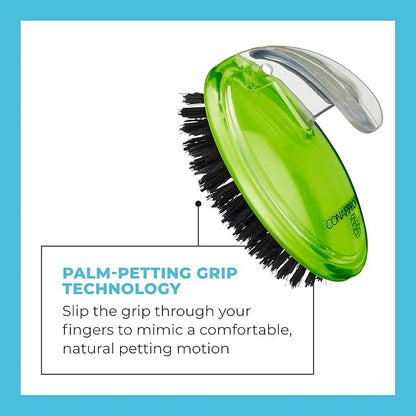 CONAIRPROPET Bristle Brush with Ergonomic Pet-It Design, Dog Brush for Removing Loose Hair
