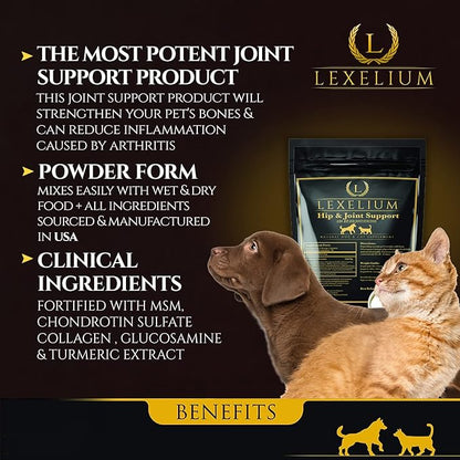 Joint Supplement for Dogs & Cats - Chondroitin Sulfate, Turmeric, MSM, Glucosamine & Calcium for Healthy Bones & Optimal Skeletal Function - Optimal Joint Care to Help w/Arthritis- 200g