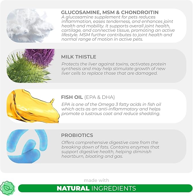 10 in 1 Multivitamin for Dogs - 120 Chewable Tablets with Glucosamine and Chondroitin - Fish Oil & Vitamins with Coq10 for Skin & Heart Health, Gut & Immune Support