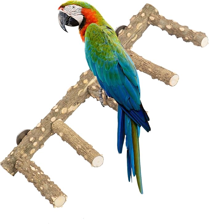 Bird Ladder Perch for Cage - Natural Wooden Bridge, Exercise Stands for Parrot Climbing - Pet Training Ladders - Hanging Playground -Toys for Parakeet, Cockatiel, Conures, Lovebirds, Budgie