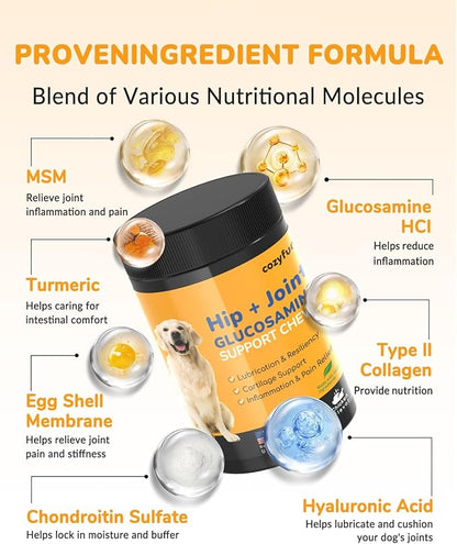 Glucosamine for Dogs 260Ct Chews - 23oz Dog Hip and Joint Supplement Chews, Chondroitin Joint Supplement for Dog, USA Lab Formula with Probiotics, Natural Support for Dogs
