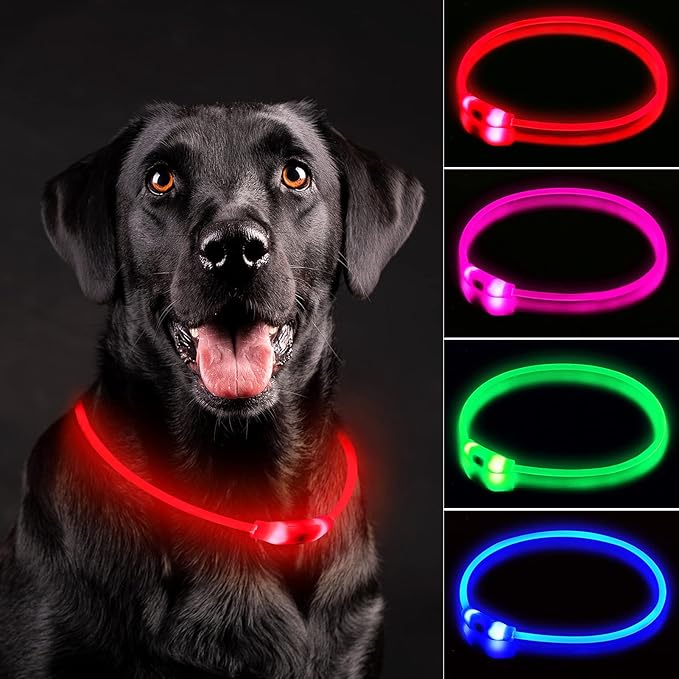 LED Dog Collar, Rechargeable Light Up Dog Collars,IP67 Waterproof Dog Lights for Night Walkingï¼_djustable, Reusable Safety Necklace for Small Medium Large Dogs (Red)