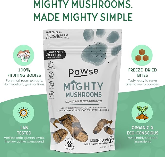 Mighty Mushroom Supplement for Dogs & Cats | for Immune System, Lumps & Bumps, Gut Health & Skin Support | Mushroom Blend with Turkey Tail, Reishi, Chaga, Maitake & Shiitake | 60 Bites
