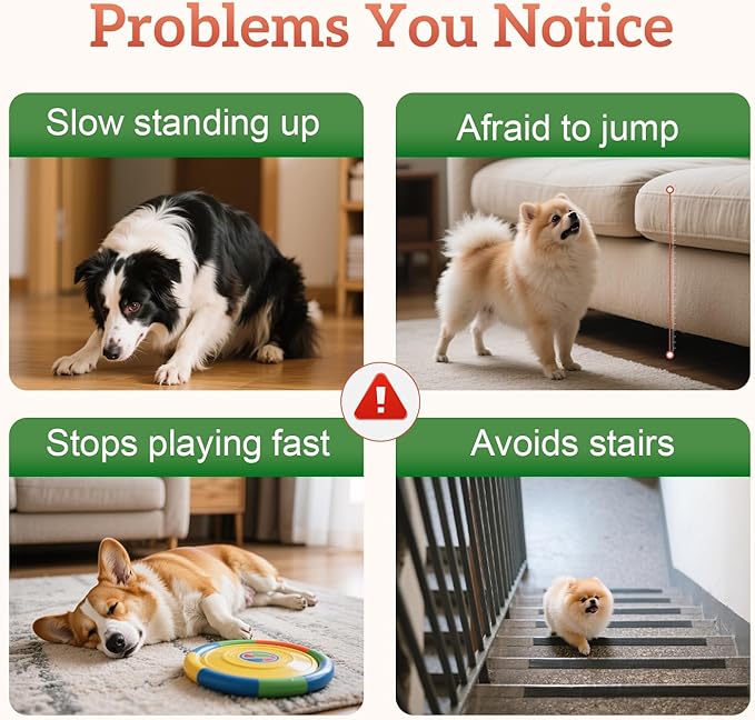 Advanced Dog Hip and Joint Supplement with Glucosamine, Chondroitin, MSM, and Vitamin C, Beef Flavor, 60 Soft Chews