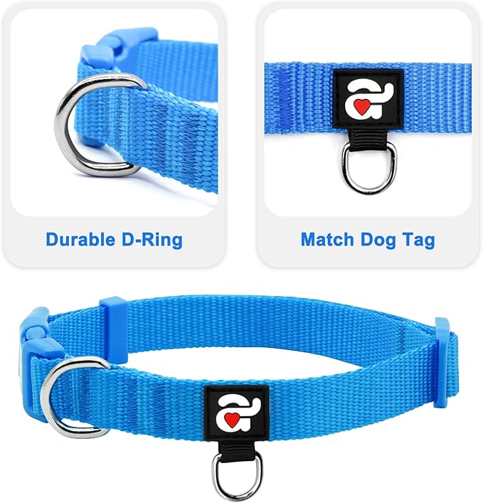 azuza 3 Pack Dog Collars Comfortable and Adjustable Nylon Dog Collars for for Small Dogs, S (11-16inch)ï¼_reen, Blue and Royal Blue