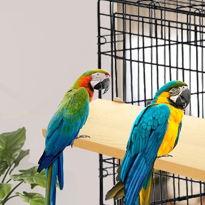 4 Pack 5 x 12 Inches Bird Perches - Natural Wooden Flat Bird Perch - Rectangle Bird Perch Stand Platform for Parrot, Budgies, Parakeet, Cockatiels, Conure, Lovebirds