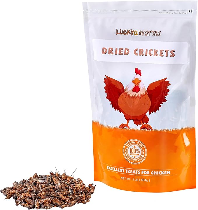 Dried Crickets 1 lb for Chickens, Wild Birds, Hedgehogs, Reptiles, Lizards, Bearded Dragons, Fish, Turtles - High Protein Natural Insect Food Resealable Bag