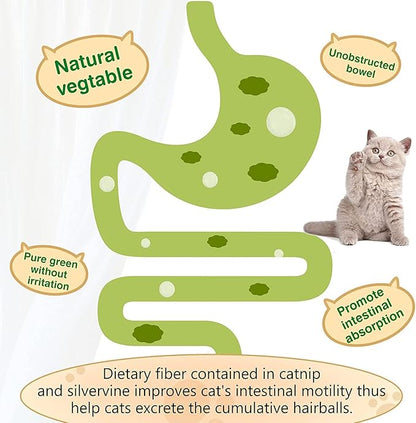 3 Pack Catnip Balls, Catnip Ball for Cats Wall, Edible Kitty Toys for Cats Lick, Safe Healthy Kitten Chew Toys, Teeth Cleaning Dental Cat Toys, Cat Wall Treats (Green)