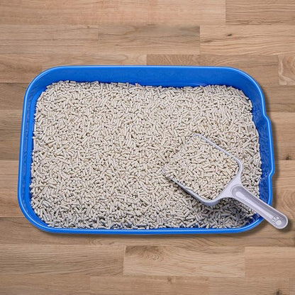 Kitty Litter Box Starter Kit - Small Cat Litter Pan Without Lid, Litter Mat, Scoop and Bowl for Kitten Within 3 Months (GreyScoop)