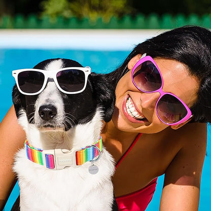 DOGWONG Cotton Dog Collar, Rainbow Dog Collar Durable Soft Natural Fabric Pet Dog Collar Cute LGBTQ Puppy Necklace for Small Medium Large Dog