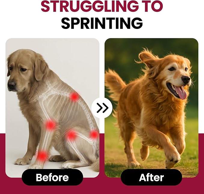 Glucosamine for Dogs Hip and Joint Supplement Chews, Chondroitin for Dogs Joint Health supplemnt, Dog glucosamine Chews, Dog Supplement for Joint Pain Relief - 60-Day Satisfaction Guarantee -180 Ct