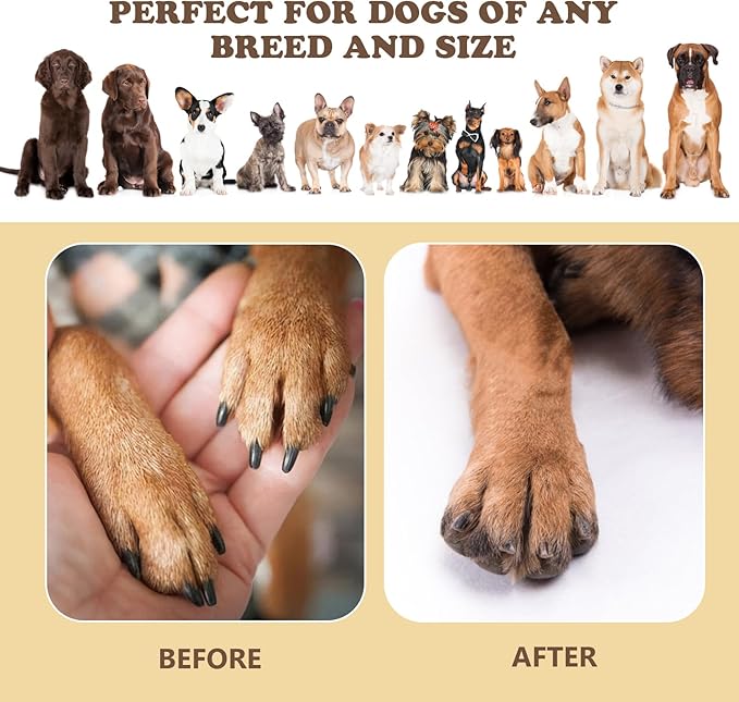 Dog Nail Scratch Board - 3 in 1 Rotatable Round Dog Scratch Pad for Nails with Treat Box, Dog Nail File Toy, Scratching Board for Dogs,Shorten Dog_ Side Nail Easier for Small and Large Dogs