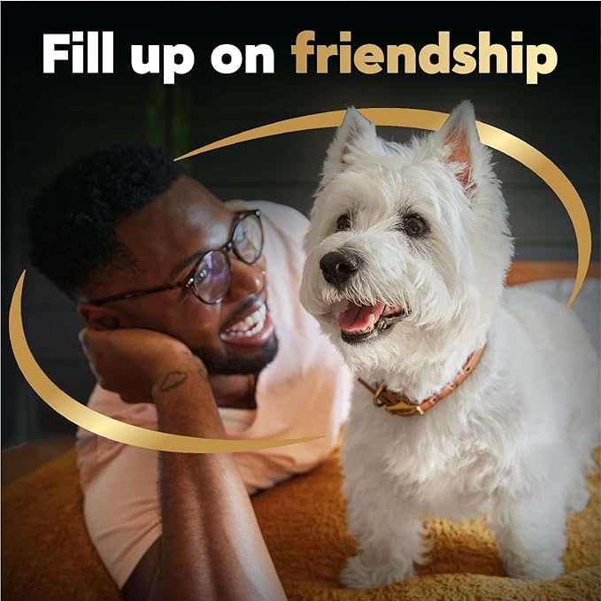 Cesar Filets in Gravy Wet Dog Food Rotisserie Chicken Flavor, 1.76 oz. Mini-Pouch, 20 Pack