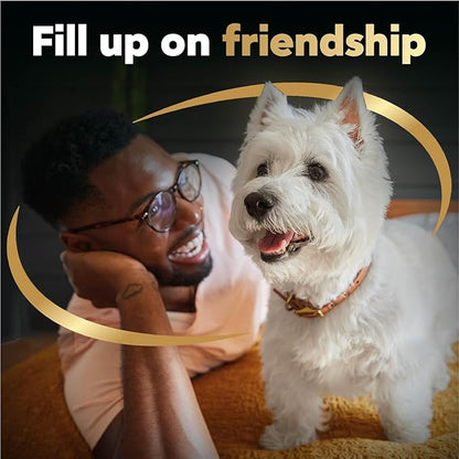 Cesar Filets in Gravy Wet Dog Food Filet Mignon Flavor and Rotisserie Chicken Flavor Variety Pack, 1.76 oz. Mini-Pouches, 20 Pack (Pack of 2)