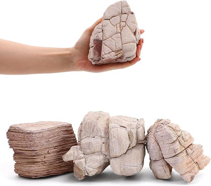 6-8 Inches Natural Pagoda Rock 4 PCS Aquarium Rocks for Aquascaping, Aquarium Landscaping, Terrariums, Fish Tank Decoration, Vivariums, Paludarium, Reptile and Amphibian Enclosures