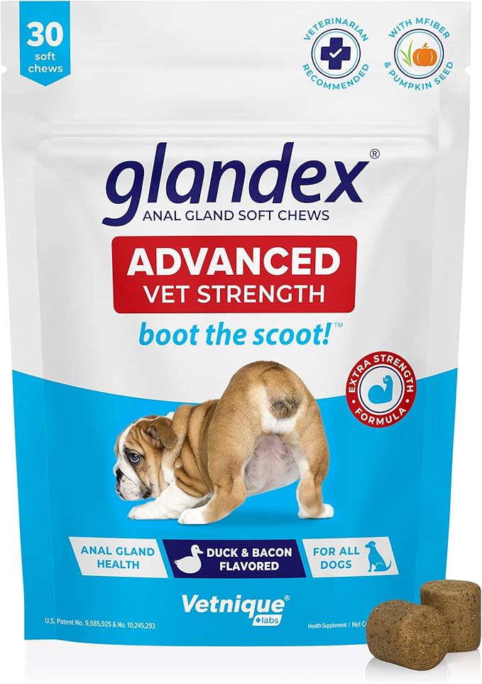 Glandex Anal Gland Soft Chew Treats with Pumpkin for Dogs Digestive Enzymes, Probiotics Fiber Supplement for Dogs Boot The Scoot (Advanced Strength Duck/Bacon Chews (Vegetarian), 30ct)