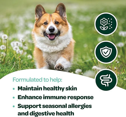 Dog Allergy Chews with Probiotics | Seasonal Allergy Chews for Dogs with Wild Alaskan Salmon Oil & Colostrum | Environmental Dog Allergy Support | NASC Certified & Made in The USA | 60 Chews
