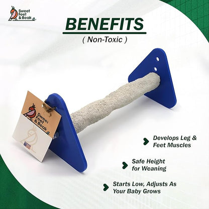 Bird Stand - Perfect Cage Accessories for Large Birds