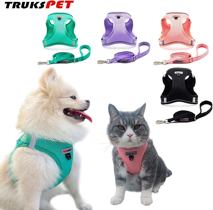 Dog Harness and Leash Set, Step in no Pull Dog Harness Adjustable Reflective Padded Mesh Fabric Dog Vest for Extra-Small/Small Medium Dogs and Cats-XS-Black