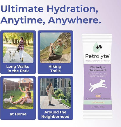 Dog Electrolytes and Joint Supplement | Glucosamine, Chondroitin & MSM for Inflammation and Mobility Support | Electrolytes for Dogs with Prebiotics | Unflavored | 16 Packets