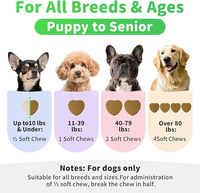 Dog Probiotics & Digestive Enzymes – Pumpkin Fiber Chews for Gut Health, Constipation& Upset Stomach Relief, Gas & Stool Support, Chicken Flavor Soft Chews – 90 Count