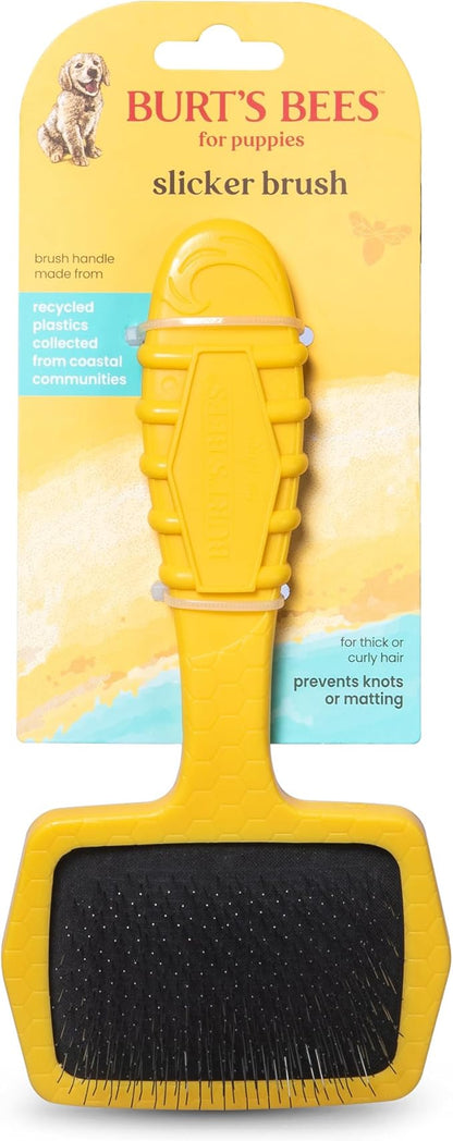 Burt_ Bees for Pets Small Slicker Brush for Dogs with Thick or Curly Hair with Handle Made from Recycled Plastics Collected from Coastal Communities | De-Shedding Dog Brush Removes Knots and Matting