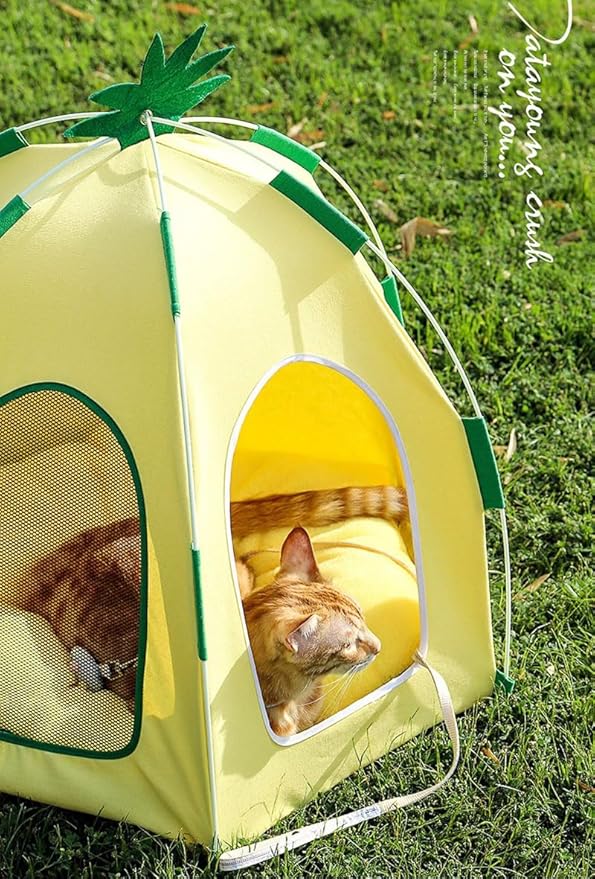 Cute Cat Teepee Cave, Cat Tent Foldable Indoor Outdoor with Thick Mat,Puppy Bed Tent,Bunny Pet Tent Teepee,Portable Dog House Teepee Tent, Cat Bed,Dog Bed Tent,Puppy Bunny,Pet Tent Teepee (V, XL)