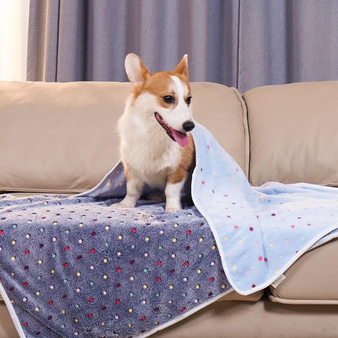 Luciphia 1 Pack 3 Blankets Super Soft Cute Dot Pattern Pet Blanket Flannel Throw for Dog Puppy Cat Large(41x31), Blue