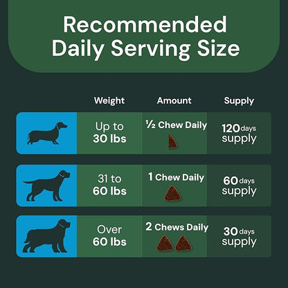 VETRISCIENCE Veterinary Strength Healthy Hip & Joint Chews - Joint Health Supplement for Dogs - Supports Mobility & Flexibility - 60 Count