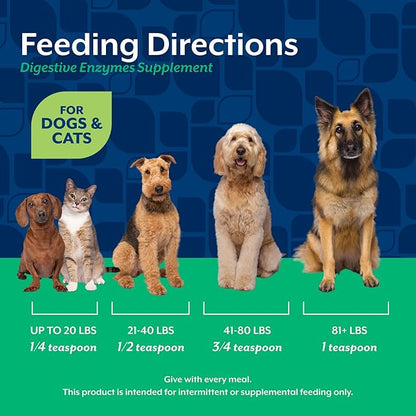 NaturVet  Digestive Enzymes for Dogs - Plus Probiotics & Prebiotics | Helps Support Diet Change & A Healthy Digestive Tract | for Dogs & Cats | 8 oz Powder