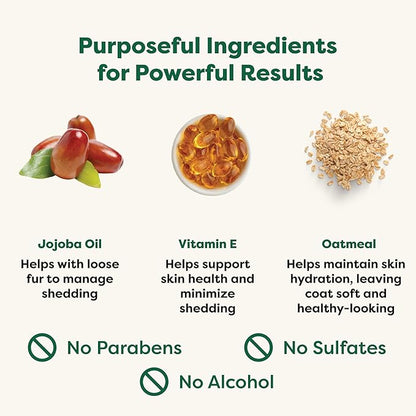 Earth Rated 3-in-1 Deshedding Dog Shampoo and Conditioner, Deodorizing Oatmeal Shampoos for Dogs and Puppies, Great for Smelly Pets, White Tea and Basil Scent, 16 oz