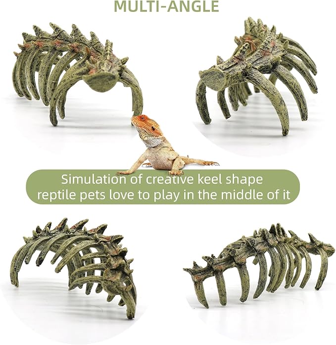 Aquarium Skull Animal Skeletons, Reptile Tank Accessories, Fish Tank Decorations for Amphibians, Betta Fish, Shrimp, Hermit Crab, Leopard Gecko