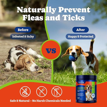 Flea and Tick Prevention for Dogs Chewable - 180 Soft Chews, Salmon & Blueberry Flavor - Dog Flea and Tick Treatment Chewable, Natural Defense- Dog Immune Support Supplement