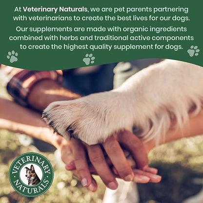 Veterinary Naturals Hemp & HIPS Joint Supplement for Dogs/Supports Relief from Hip and Joint Pain in Large, Aging Dogs (Senior Large Breed, Chicken)
