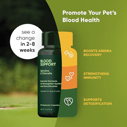 Rooted Owl Blood Support - Immunity, Recovery and Iron Supplement for Dogs & Cats - Anemia Support with Spirulina and Chlorella - 60/ct Vegan Capsules